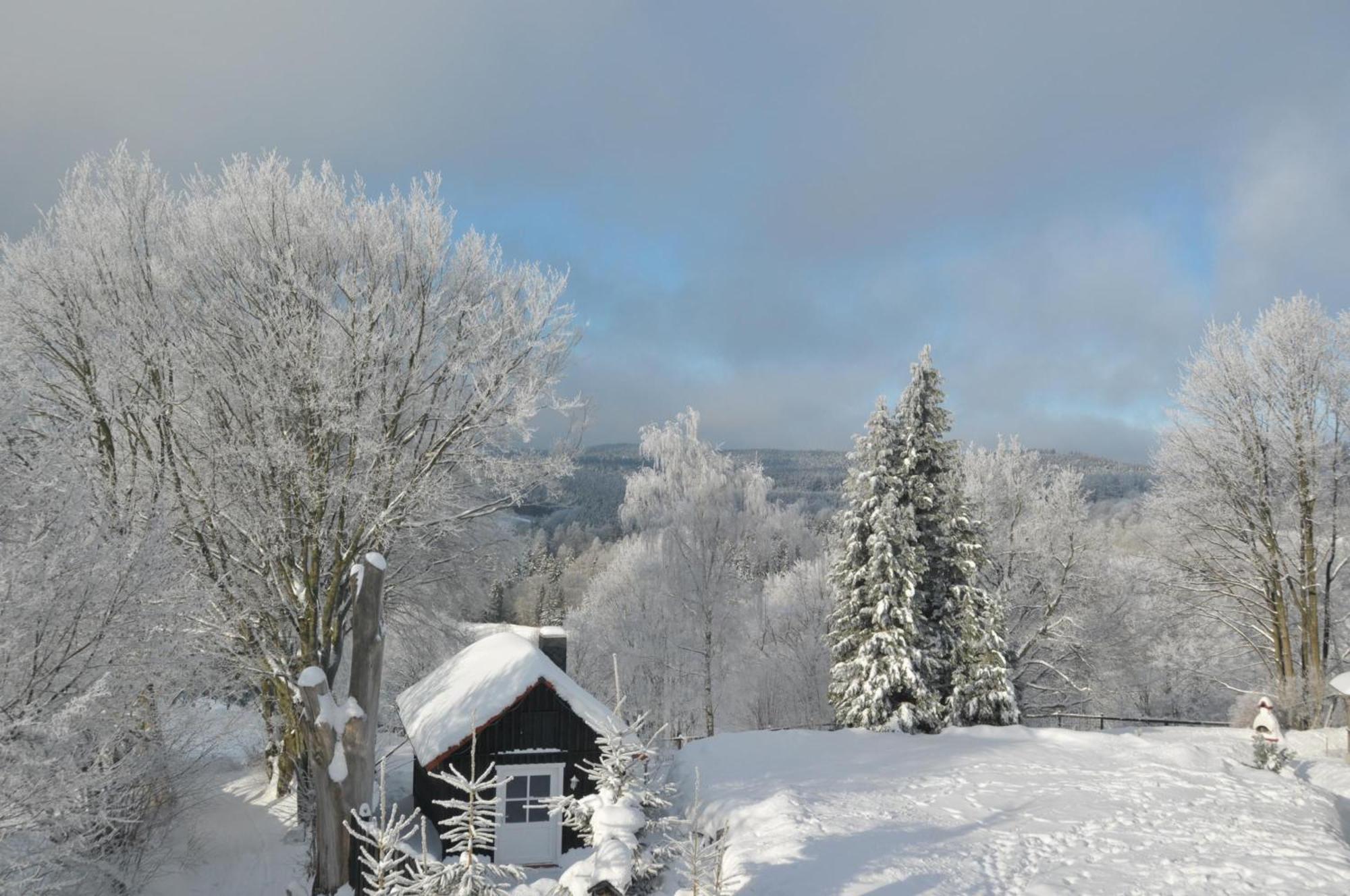 Ferienhaus Mit Spielplatz, Garten Und Fernsicht Braunlage Exteriör bild